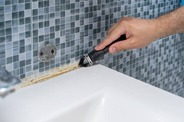 Best Mold Remediation for Specific Building Types in Kyle, TX